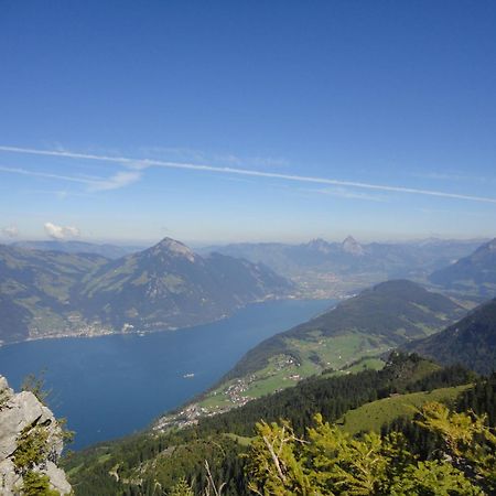 Hotel Vitznauerhof - Lifestyle Hideaway At Lake Lucerne Экстерьер фото