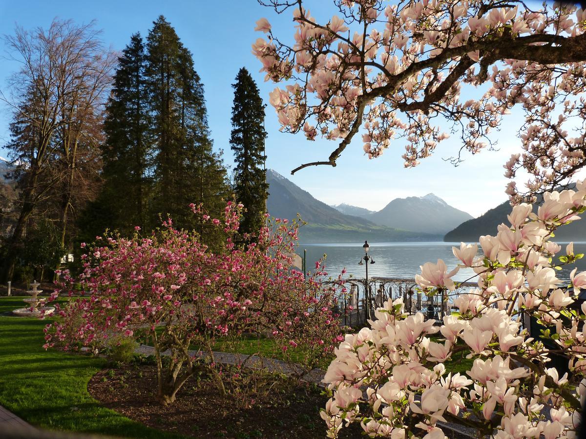 Hotel Vitznauerhof - Lifestyle Hideaway At Lake Lucerne Номер фото